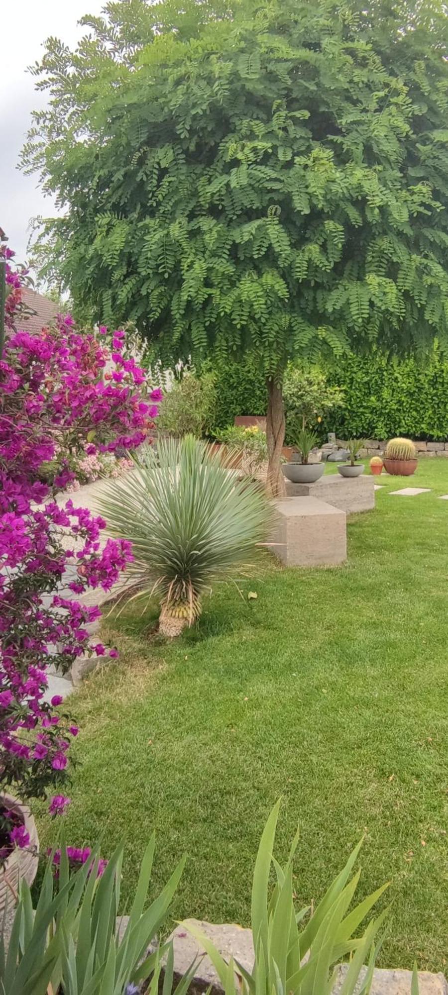 Апартаменты Bel Giardino Фридрихсхафен Экстерьер фото