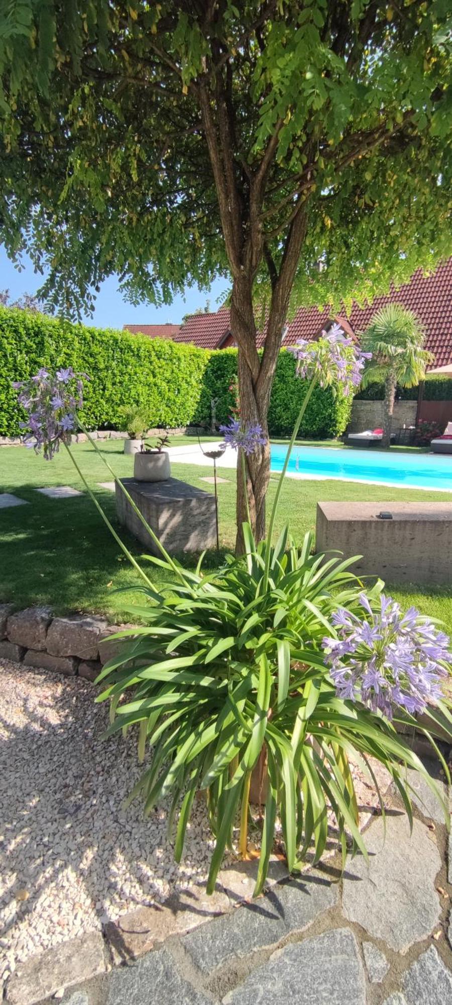 Апартаменты Bel Giardino Фридрихсхафен Экстерьер фото